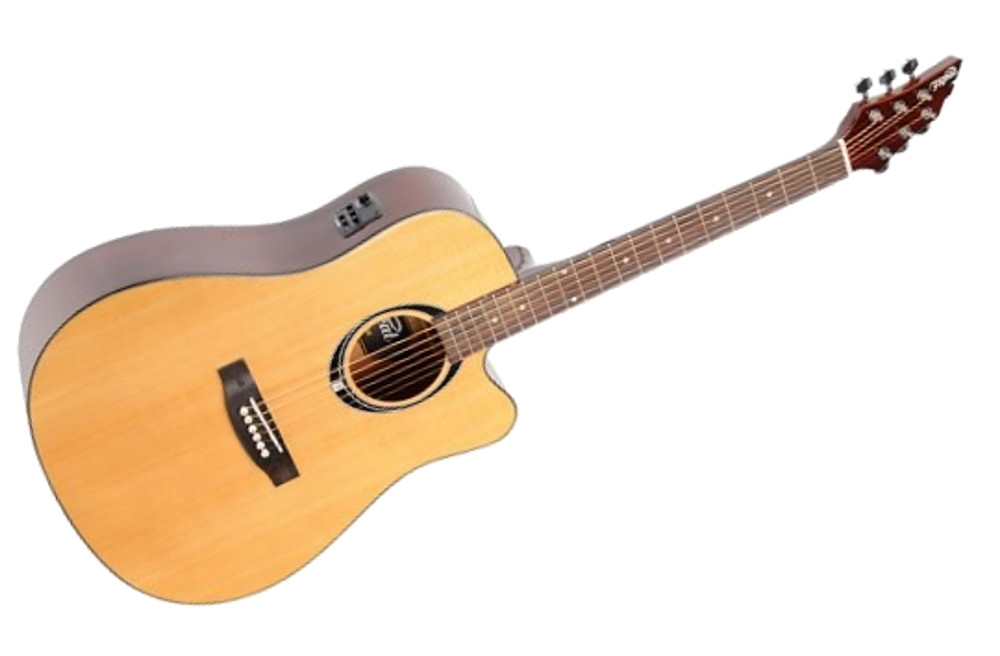 Flycat C100 NT EQ